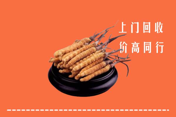 高价求购：宜春市上高县回收散虫草