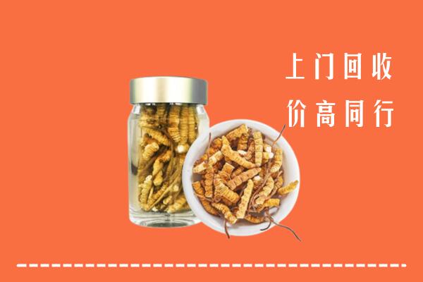 宜春市上高县回收冬虫夏草